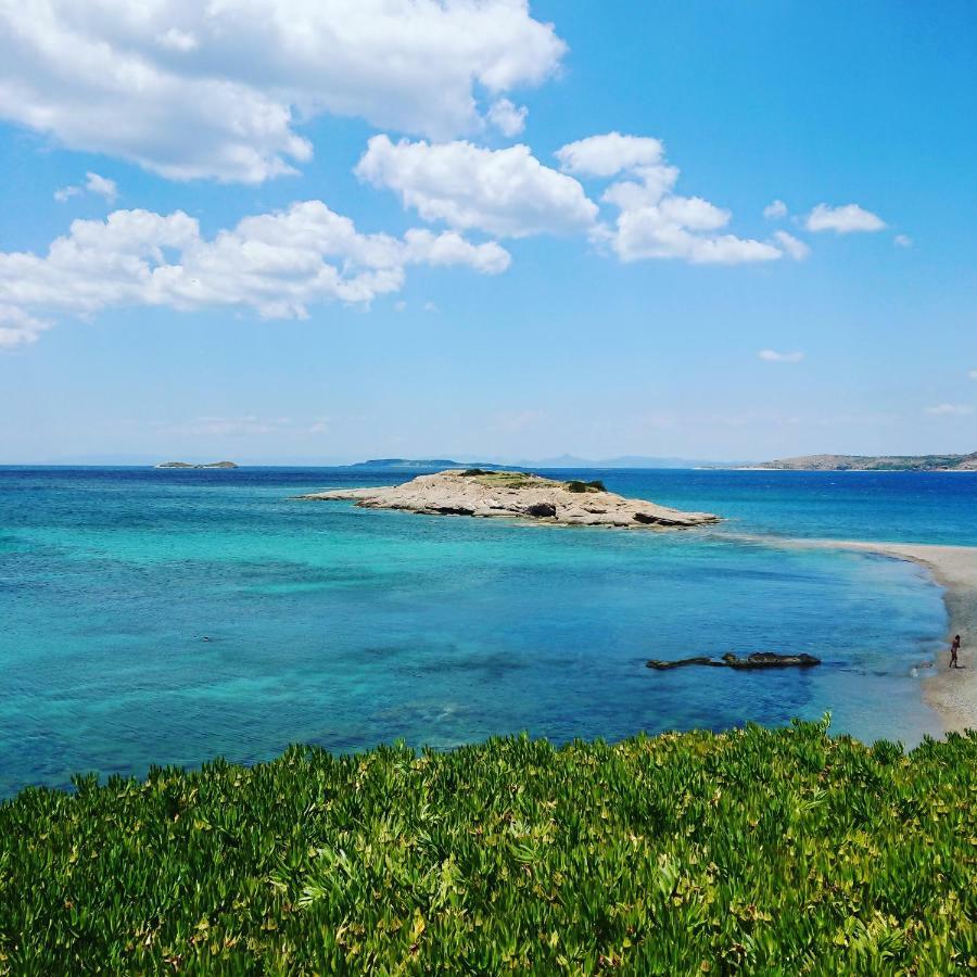 Villa Filoxenia All Seasons, Near Airport, Sea, Athens Agia Marina  Dış mekan fotoğraf